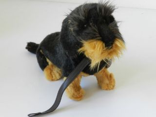 Obrázek z Pes Jezevčík s vodítkem plyš 32cm 